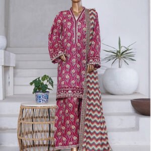 Bin Saeed | Stitched 3PC Luxury Embroidered Chikankari Cotton Collection