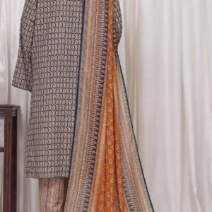 Bin Saeed | Stitched 3pc Printed Cotton Collection