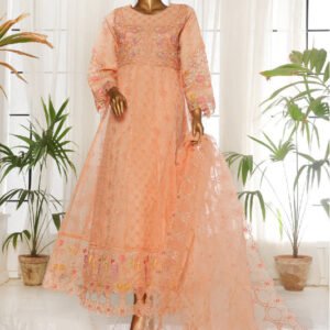 BIN SAEED | Fancy Stitched Embroidered Organza Frock Collection