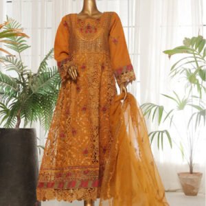 BIN SAEED | Fancy Stitched Embroidered Organza Frock Collection