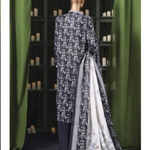 BIN SAEED | Stitch 3 Pc Printed Khaddar Collection